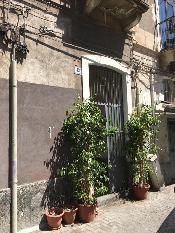 Casa Vacanza Civita Catania Centro Leilighet Eksteriør bilde